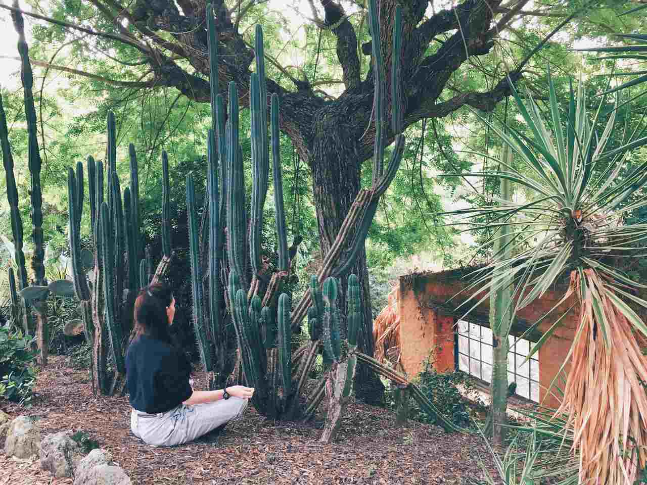 ormanlık alanda evinin karşısında huzurlu bir şekilde meditasyon yapan kadın