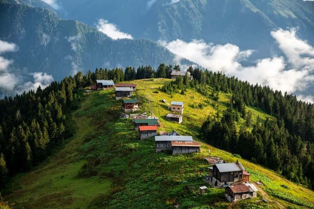 Rize'de bulunan Çamlıhemşi'nden yeşiller içinde yayla ve dağ manzarası