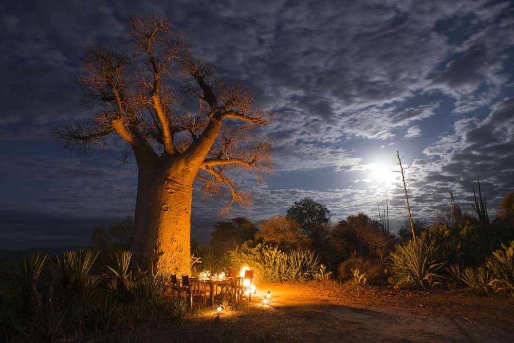 madagaskar orman manzarları