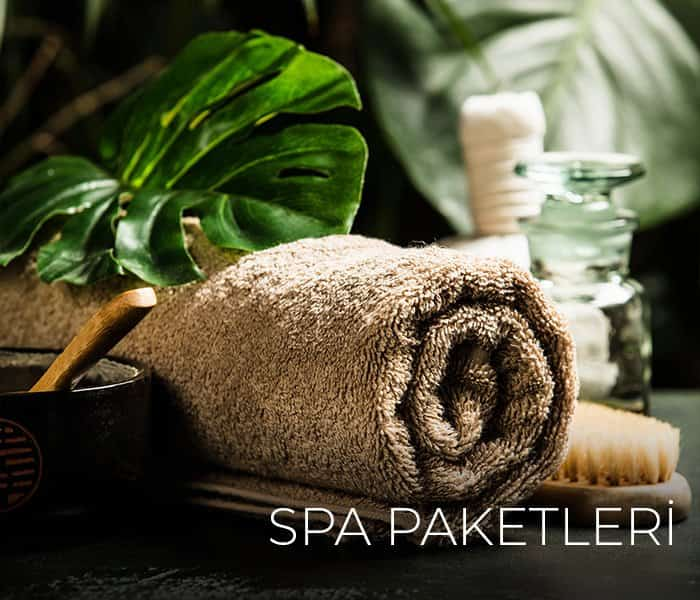 Element SPA Paketleri