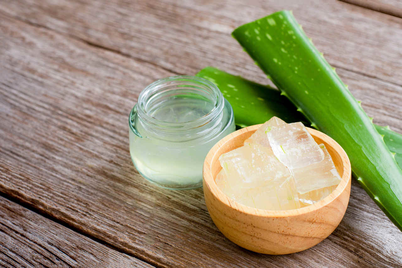 masada kase içinde aloe vera jel ve yanında aloe vera yaprağı