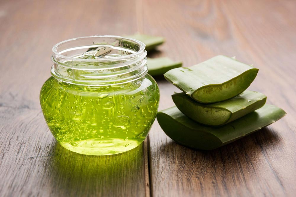 dilimlenmiş aloe vera ve aloe vera jeli