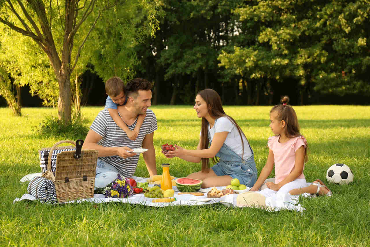 doğada, ormanda piknik yapan aile
