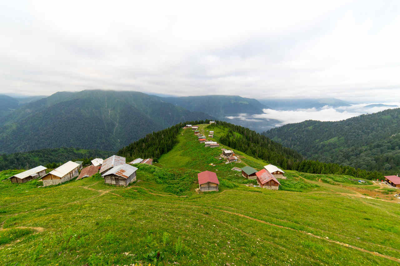 Pokut yaylası 