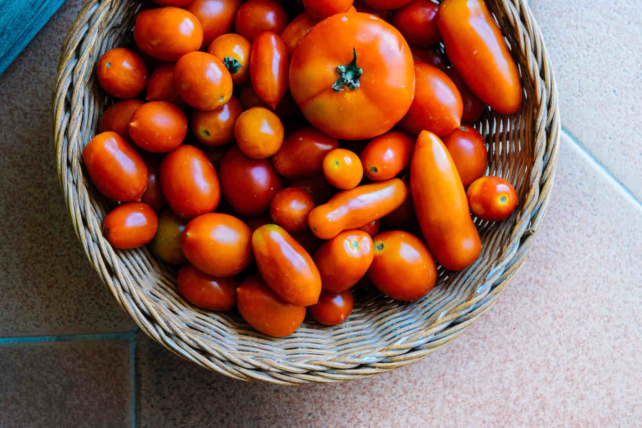 sepet içerisinde farklı domates tipleri