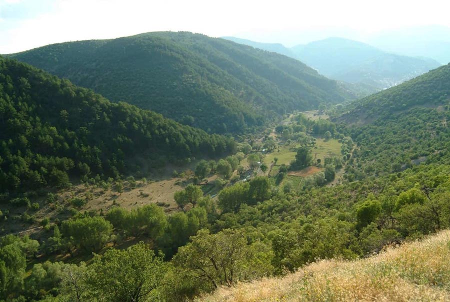 kızılcahamam, çam hotel, orman manzarası