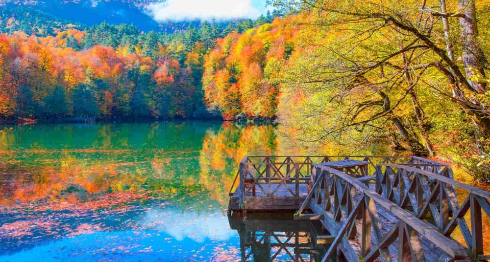 autumn view in turkey with colorful trees