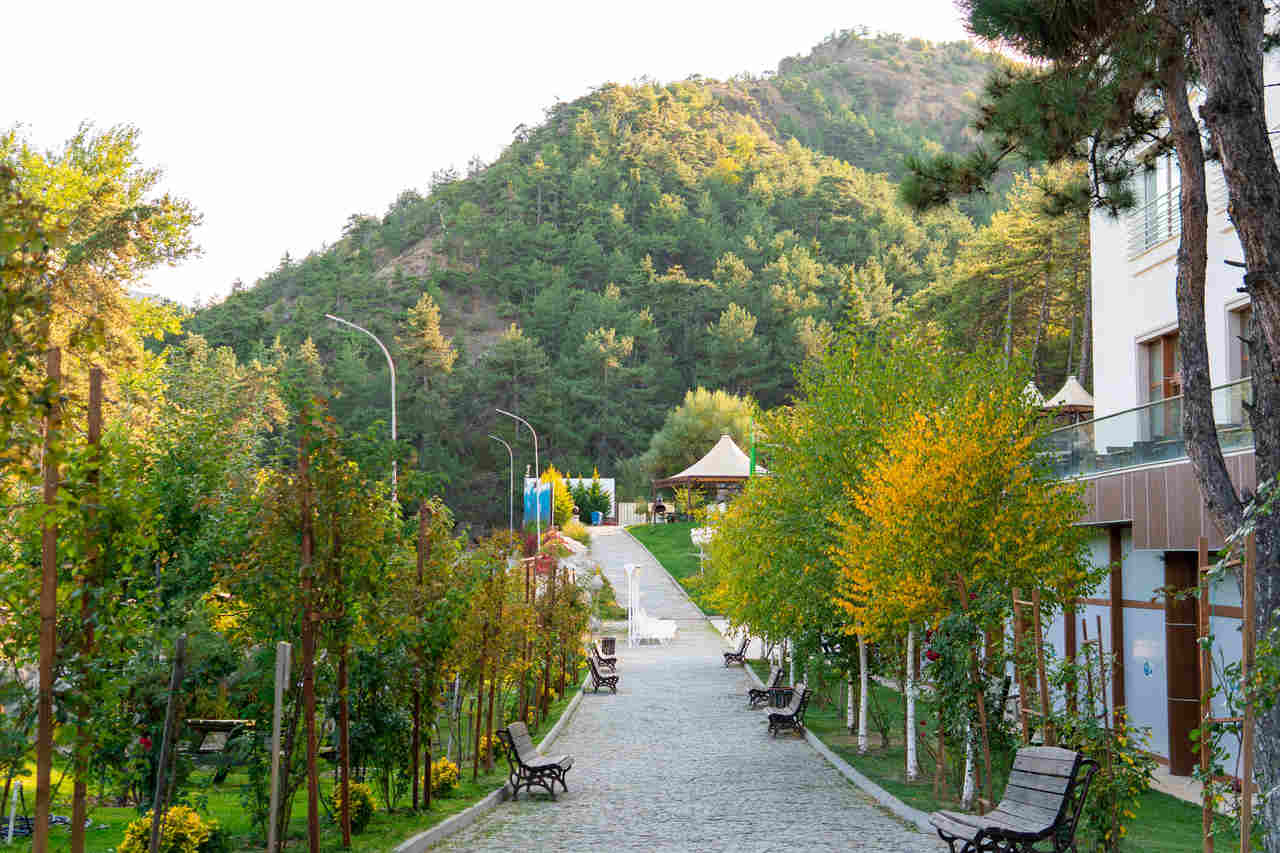 yeşil doğa içinde otel