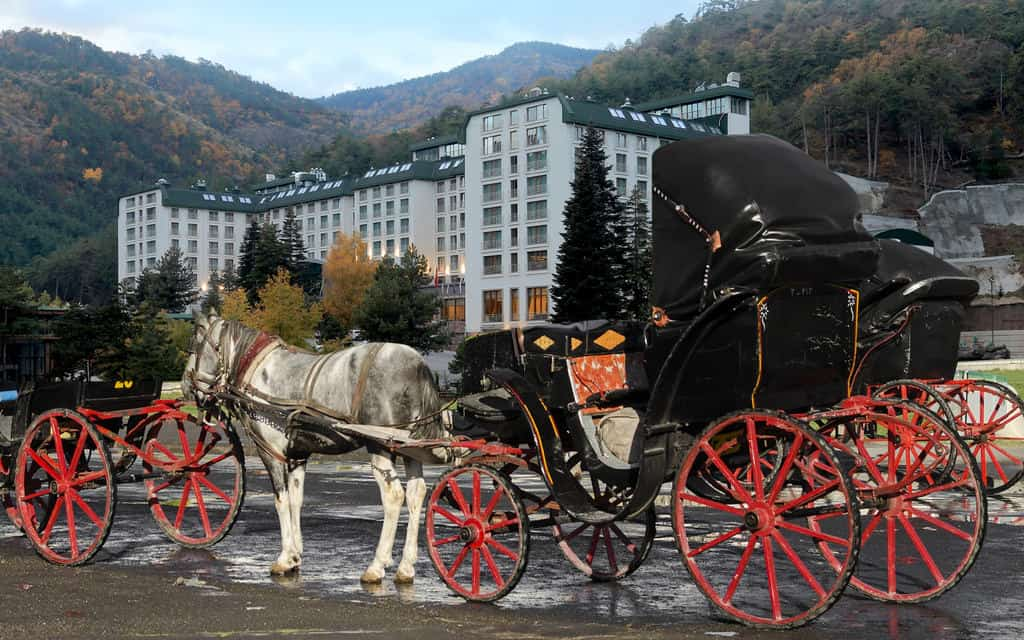 çam otel kitap fayton