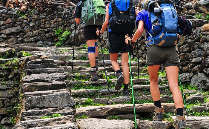 ormanda hiking yapan bir grup insan