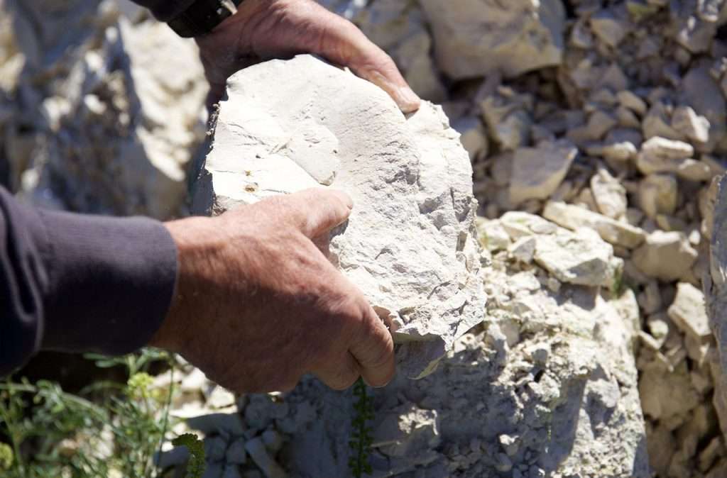 bir adamın elinde tuttuğu beşir toprak çeşidi